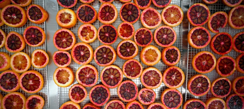 COĞRAFİ İŞARETLİ KAN PORTAKALI