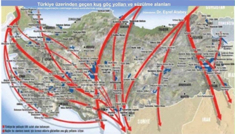 ORMAN YANGINLARI VE GÜVENLİK AMAÇLI KESİNTİLER