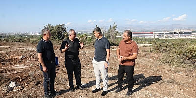 Akdeniz Belediyesi, Sokak Hayvanları İçin Doğal Yaşam Alanı İnşasına Başladı