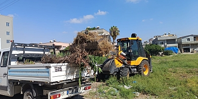 Akdeniz'de Her Gün Tonlarca Moloz Toplanıyor