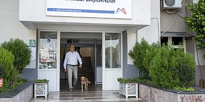 BAŞKAN SEÇER SÖZ VERDİ, BÜYÜKŞEHİR BİRİMLERİ CAN DOSTLARI SAHİPLENDİ