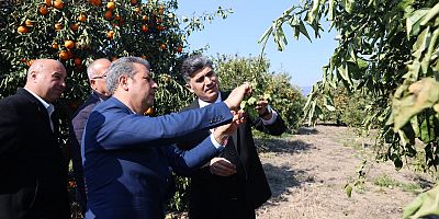 BAŞKAN V. ZEYİT ŞENER, ZİRAİ DONDAN ETKİLENEN ÜRETİCİLERİN YANINDA