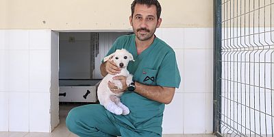 BÜYÜKŞEHİR KAŞLI BAKIMEVİ’NDE BİR CAN DOST DAHA İYİLEŞTİ