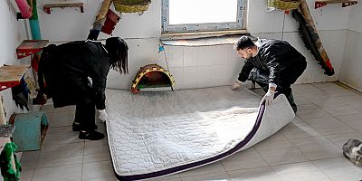 BÜYÜKŞEHİR VE GÖNÜLLÜLER PATİLİ DOSTLAR İÇİN İŞ BİRLİĞİ YAPIYOR