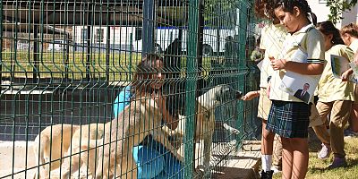 Çocuklar Yenişehir Belediyesinin hayvan bakımevini gezdi