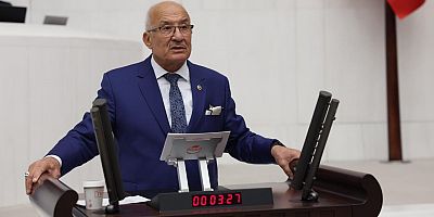 İYİ PARTİ MERSİN MİLLETVEKİLİ BURHANETTİN KOCAMAZ: