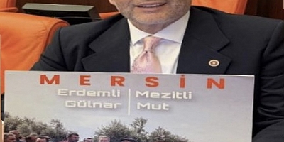 MHP MERSİN MİLLETVEKİLİ DR. LEVENT UYSAL, ORMAN VASFINI YİTİRMİŞ TARIM ARAZİLERİNDE AĞAÇ KESİMLERİNİN DURDURULMASINI İSTEDİ.