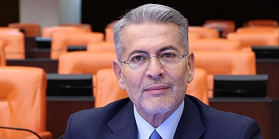 MHP’Lİ UYSAL TBMM’DE GÜNDEME GETİRDİ: MERSİNLİ NARENCİYE ÜRETİCİSİ İÇİN ALTERNATİF PAZAR VE MALİ DESTEK ÇAĞRISI