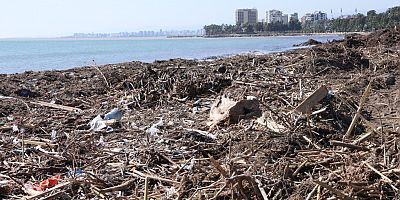 MİLLET BAHÇESİ SAHİLİ 