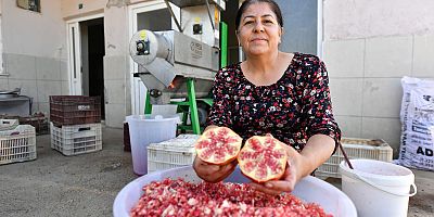 Nar Taneleme Makinesi