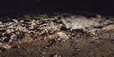 Önce tonlarca tekstil atığı şimdi de kilolarca yoğurt