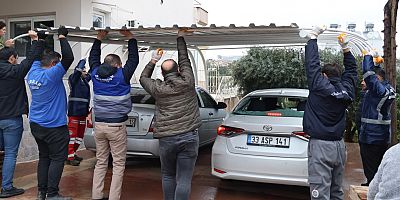 ŞİDDETLİ FIRTINA AĞAÇLARI DEVİRDİ