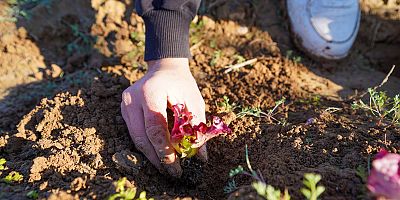 TARSUS BELEDİYESİ'NDEN TARIMA VE EĞİTİME DESTEK: 