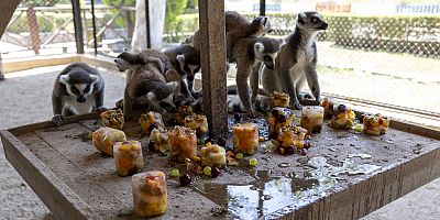 TARSUS DOĞA PARKI’NDA SICAKLARA BUZ GİBİ BİR MOLA
