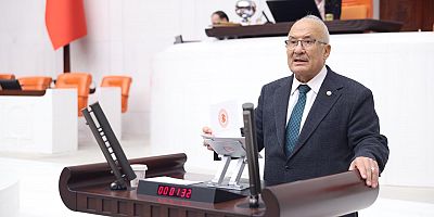 Teşekkür ederim Sayın Başkan.