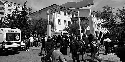 TIBIK;BU MESELE SİYASET ÜSTÜDÜR