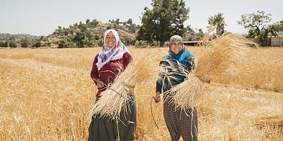 TOPLUMLARIN KALKINMASINI SAĞLAYAN KAHRAMANLAR: KADIN ÇİFTÇİLER
