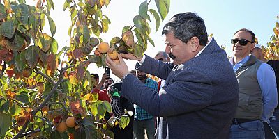 TOROSLAR BELEDİYE BAŞKANI YILDIZ, CENNET MEYVESİ HASADINA KATILDI