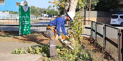 TOROSLAR BELEDİYESİNDEN AĞAÇLARA KIŞ BAKIMI