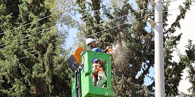  TOROSLAR’DA DAHA TEMİZ VE YEŞİL BİR ÇEVRE İÇİN YOĞUN MESAİ