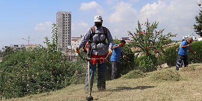 TOROSLAR’IN PARKLARINDA SONBAHAR HAZIRLIĞI