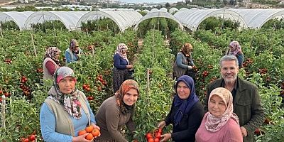 KADIN ÇİFTÇİLERE DESTEK ÇAĞRISI: EMEKLERİ GÜVENCE ALTINA ALINMALI