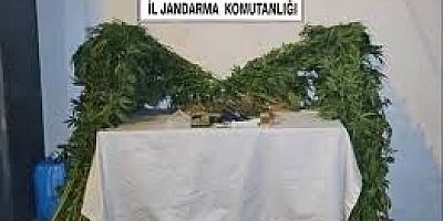 Uyuşturucu Taciri Yakalandı