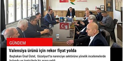 Valensiya ürünü için rekor fiyat yolda