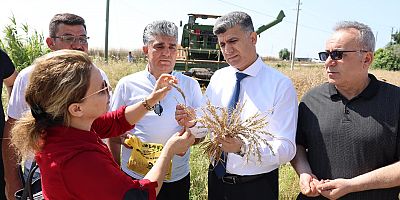 YERLİ YAKAMOZ BUĞDAYININ HASADI GERÇEKLEŞTİRİLDİ