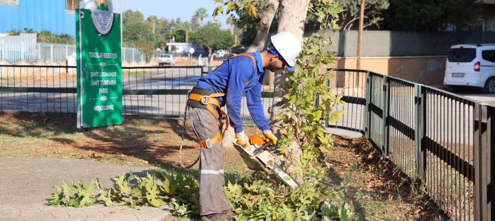 TOROSLAR BELEDİYESİNDEN AĞAÇLARA KIŞ BAKIMI